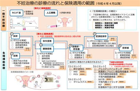 保険適用の範囲 不妊治療保険適用専門サイトfch