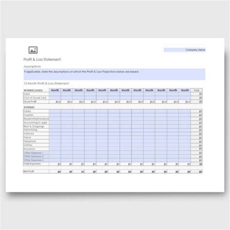 12-Month Profit & Loss Statement (PDF Form) | YVOXS