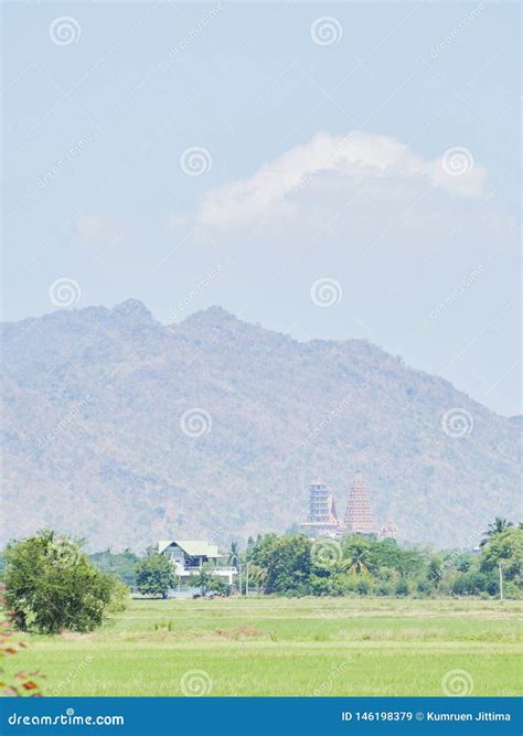 Opini O Verde Do Campo Nuvens Do C U Imagem De Stock Imagem De