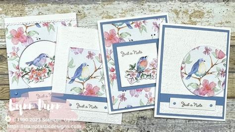 Butterfly Gala Card Ideas 4 Simple Ways