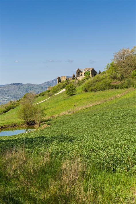 Gallery Tenuta Borgo Santa Cecilia