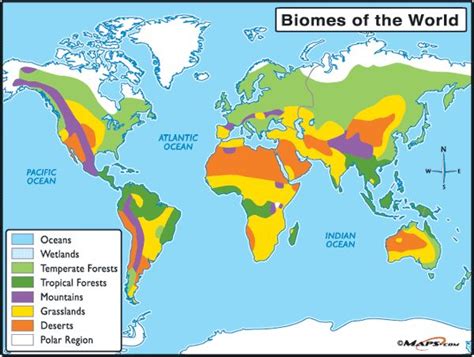 Biomes Are Regions Of The World With Similar Climate Wea