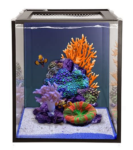 New 10 And 20 Gallon NUVO Fusion Nano Tanks From Innovative Marine