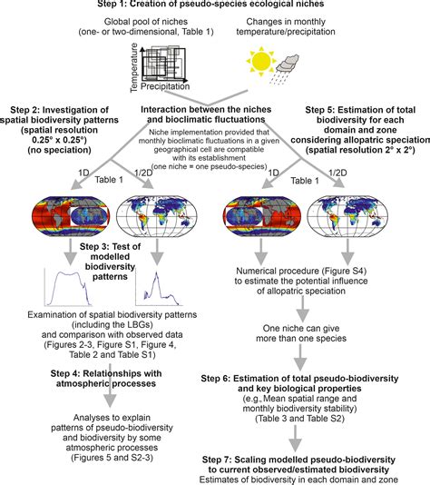 The Mathematical Influence On Global Patterns Of Biodiversity