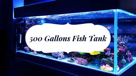 500 Gallons Fish Tank (Dimensions, Weights, Sizes & Cost)