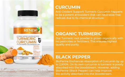 Renew Actives Maximum Potency Organic Turmeric Curcumin Black Pepper