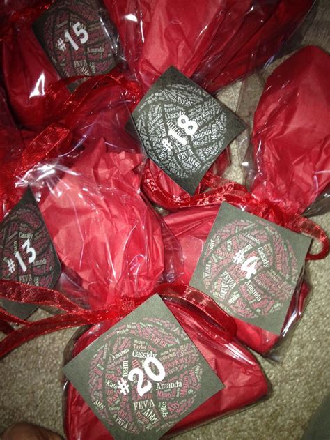 Pin By Stephanie Blevins On Volleyball Volleyball Team Gifts