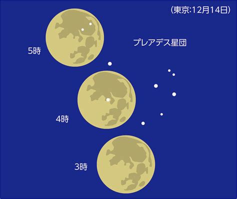 紫金山 ツチンシャン アトラス彗星 10月13日近地点通過 ケンコートキナー