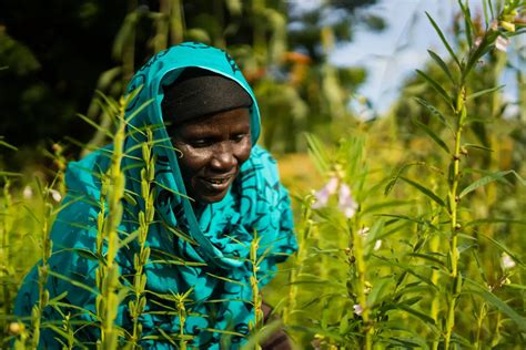 world environment day    investment   environment