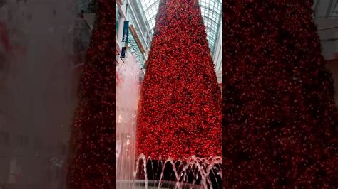 Eaton Centre’s 108 Foot Christmas Tree Happy Holidays Shorts Youtube