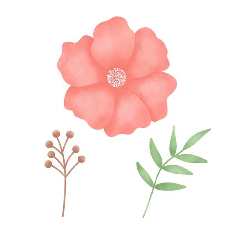 Hand Drawn Elements Png Picture Cute Flower Hand Drawn Elements