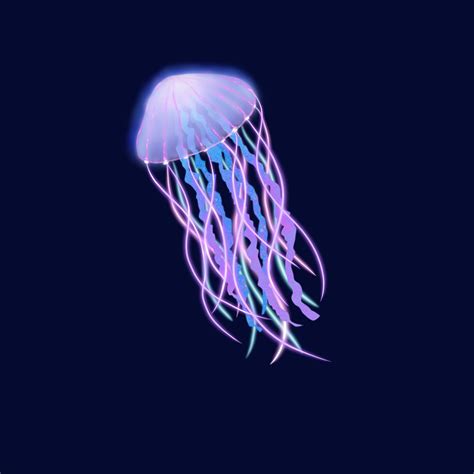 Jellyfish | Jellyfish drawing, Digital art tutorial, Art tutorials