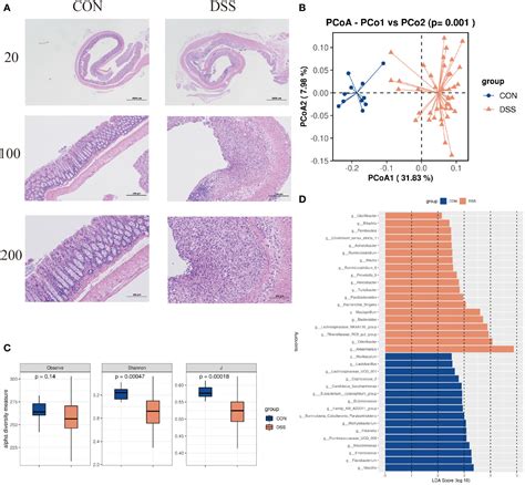 Frontiers Shifts And Importance Of Viable Bacteria In Treatment Of