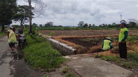 Petani Cemas Kuota Pupuk Subsidi Di Kota Blitar Dikurangi Persen