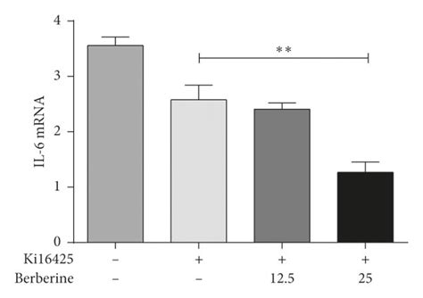 Berberine Inhibits The Proliferation And Inflammation Of Fls Ra Through