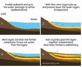 Sedimentary Rocks Diagram Quizlet