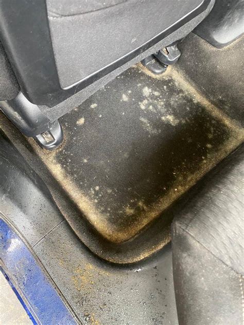 How To Get Rid Of Mold In Carpet Of Car