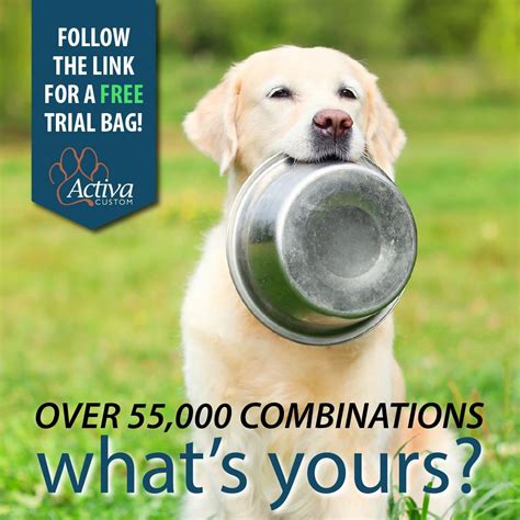 innovation pet net worth 2022