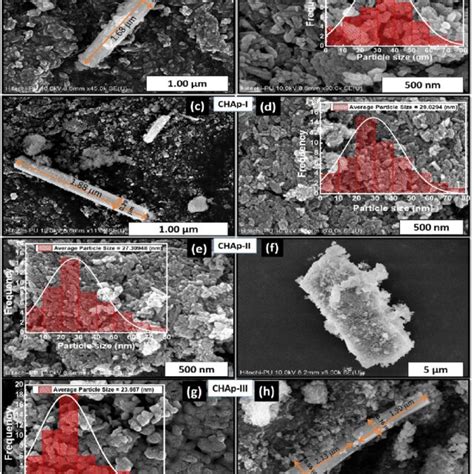 Fe Sem Micro Images With Particle Size Distribution Histogram Of Ca