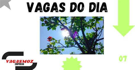 Vagas do Dia 40 Vagas Para Várias Áreas e Locais 07 02 2025