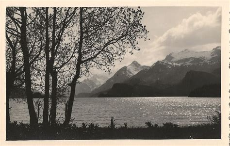 Vintage Fotokarte E Meerk Mper Sils Im Engadin Top Kaufen Auf Ricardo