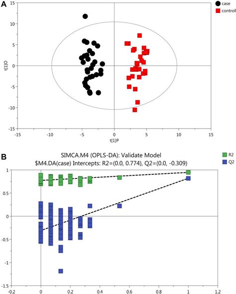 OPLS DA Plots With Corresponding Permutation Test Plot Obtained From