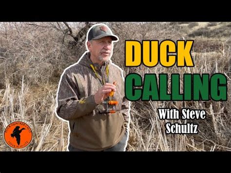 How To Call Ducks Like A Pro YouTube