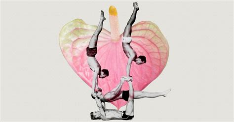 A Sex Researcher Explains Mostly Straight Men