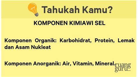 Apa Saja Komponen Kimiawi Dalam Sebuah Sel Biologi Kelas 11