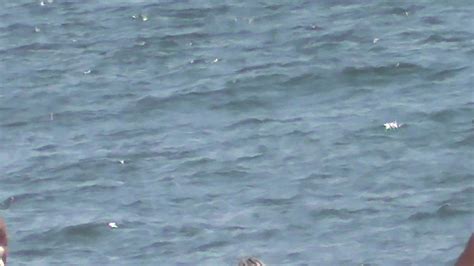 2022 Bikini Beach Girls Videos Vol 1270