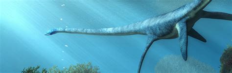 Were Plesiosaurs Both Marine and Freshwater Animals? | Answers in Genesis