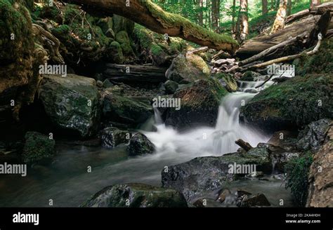 Une vue à couper le souffle d une petite cascade qui coule à travers