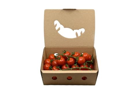 Rohl K Cz Cherry Tomatoes On A Twig Roz Lka Packaging