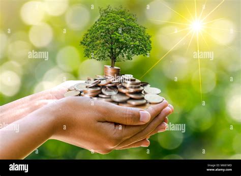 Hand Coin Tree The Tree Grows On The Pile Saving Money For The Future