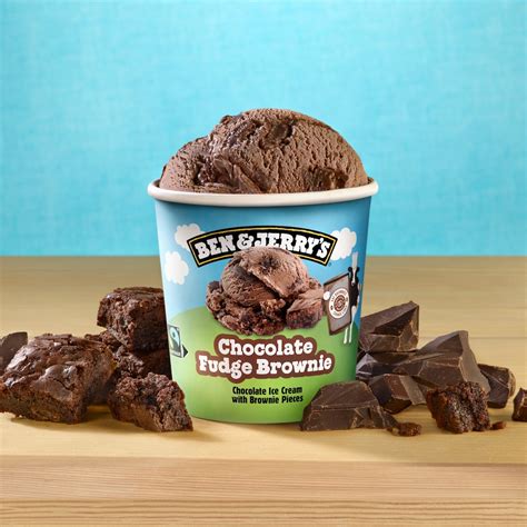 Chocolate Fudge Brownie Gelato Ben And Jerrys