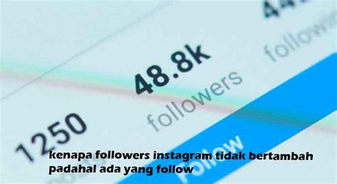 Kenapa Followers Instagram Tidak Bertambah Padahal Ada Yang Follow