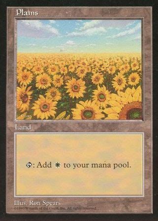 Plains Magic The Gathering Promo Cards Magic TrollAndToad