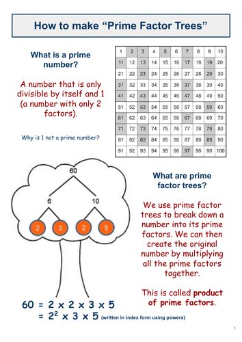 Prime Factor Trees A How To Guide With Questions And Answers Teaching Resources