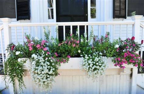 Flower Box For Balcony Transform Your Balcony Into A Garden Garden