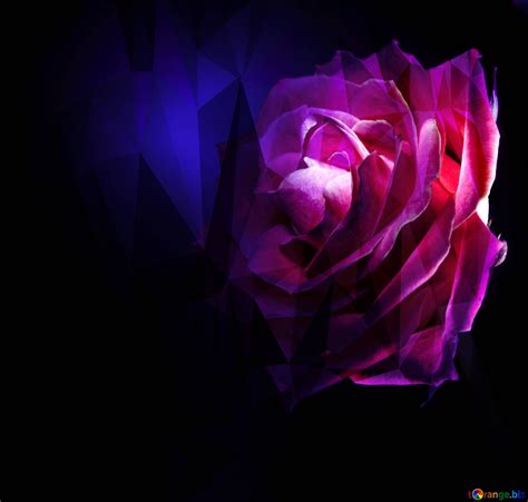 Abstract Roses Backgrounds