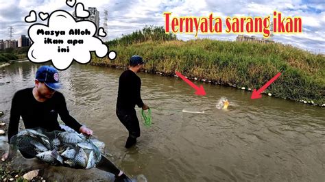 Menjala Ikan Di Sungai Kecil Ternyata Dapatnya Ikan Besar Luar Biasa