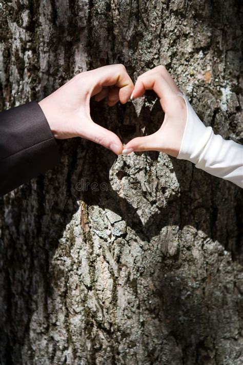 Two Hands Forming Heart in Love Stock Photo - Image of finger ...