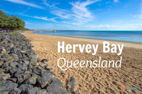 16 Awesome Things To Do In Hervey Bay Queensland Hervey Bay Best