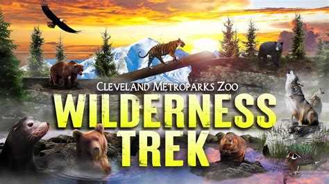 Zoo Tours The Cleveland Metroparks Zoos Wilderness Trek Youtube