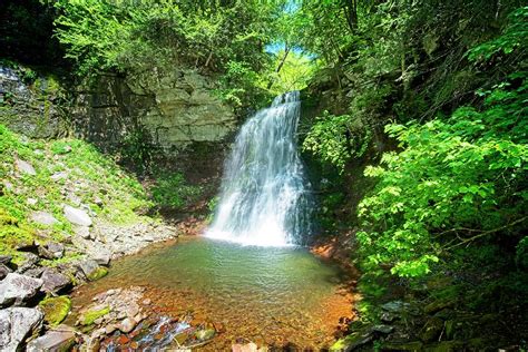 High Falls Waterfall Photograph by Lloyd Tapper - Fine Art America