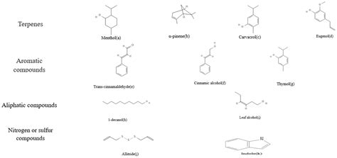 Frontiers The Performance Of Plant Essential Oils Against Lactic Acid