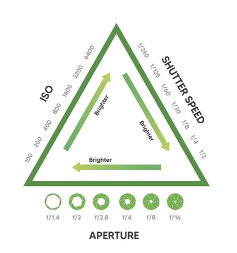 10 Things To Do With Your New Camera Basic Camera Settings