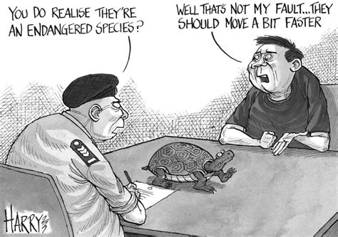 Illegal Turtle Smuggling R Editorialcartoons