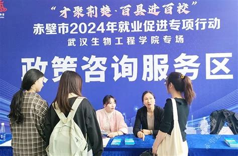 赤壁市2024年“才聚荆楚·百县进百校”就业促进专项招聘活动走进武汉生物工程学院云上赤壁