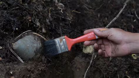 Eln Seis Polic As Heridos Tras La Activaci N Remota De Un Campo Minado